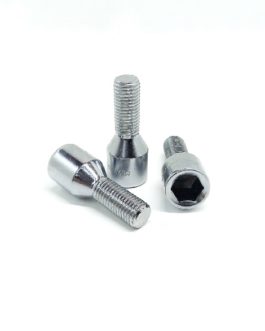Chrome Tuner Bolt 12×1.5mm